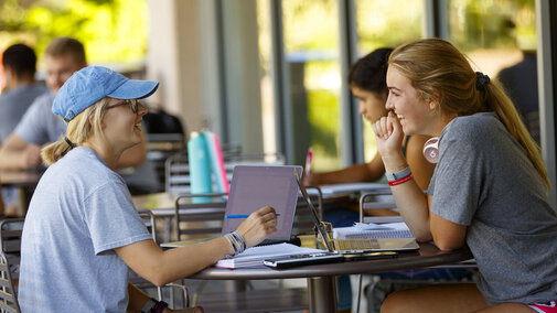 Students outside in sunny weather