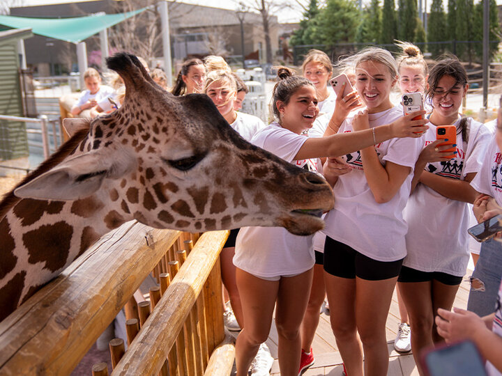 The Lincoln Children's Zoo